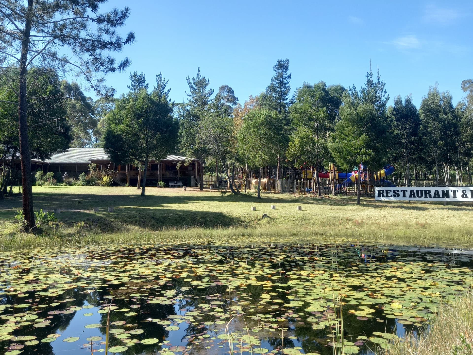 Maple Ranch Gallery - Image 4