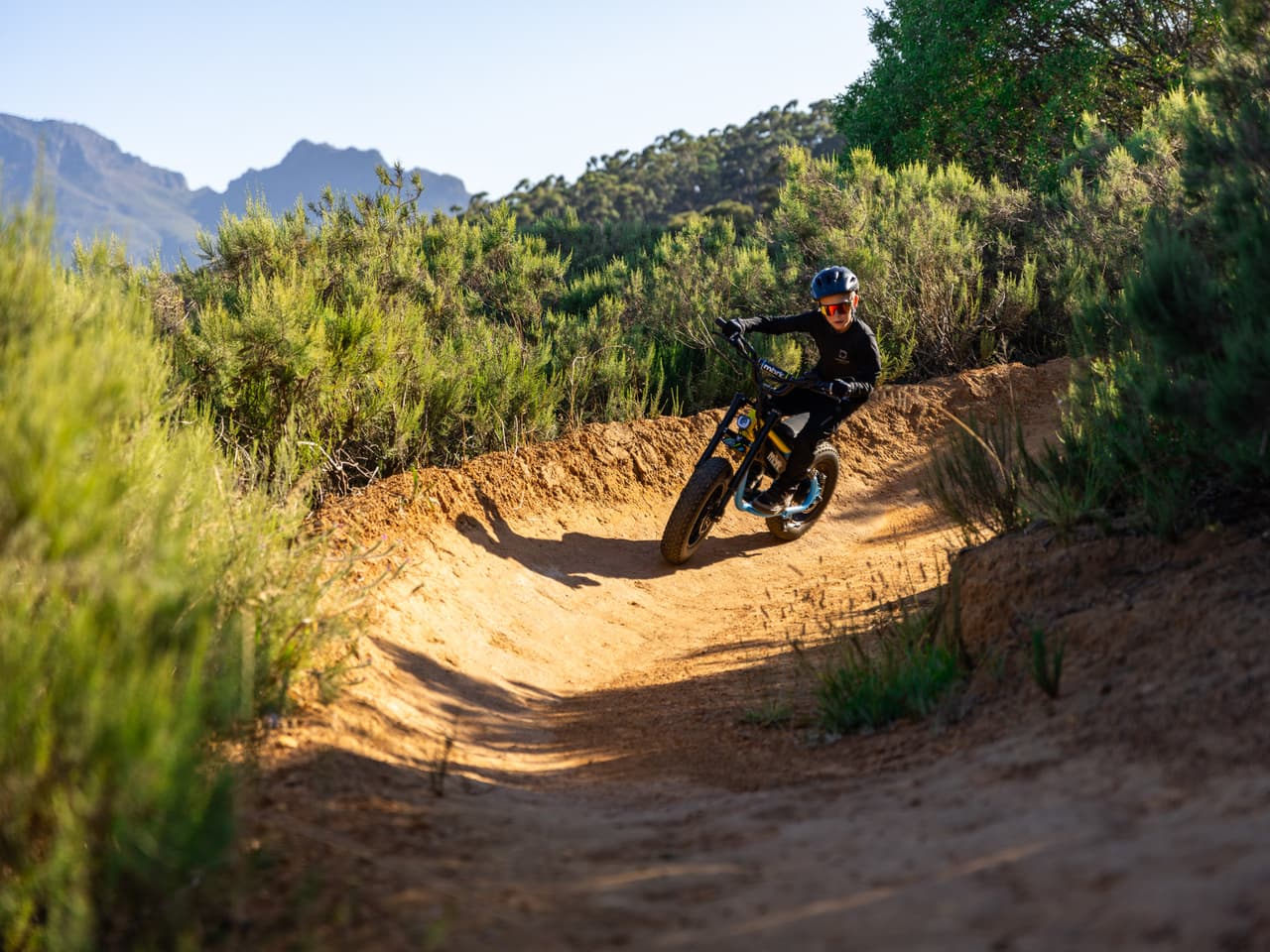 Maple Ranch Gallery - Image 10