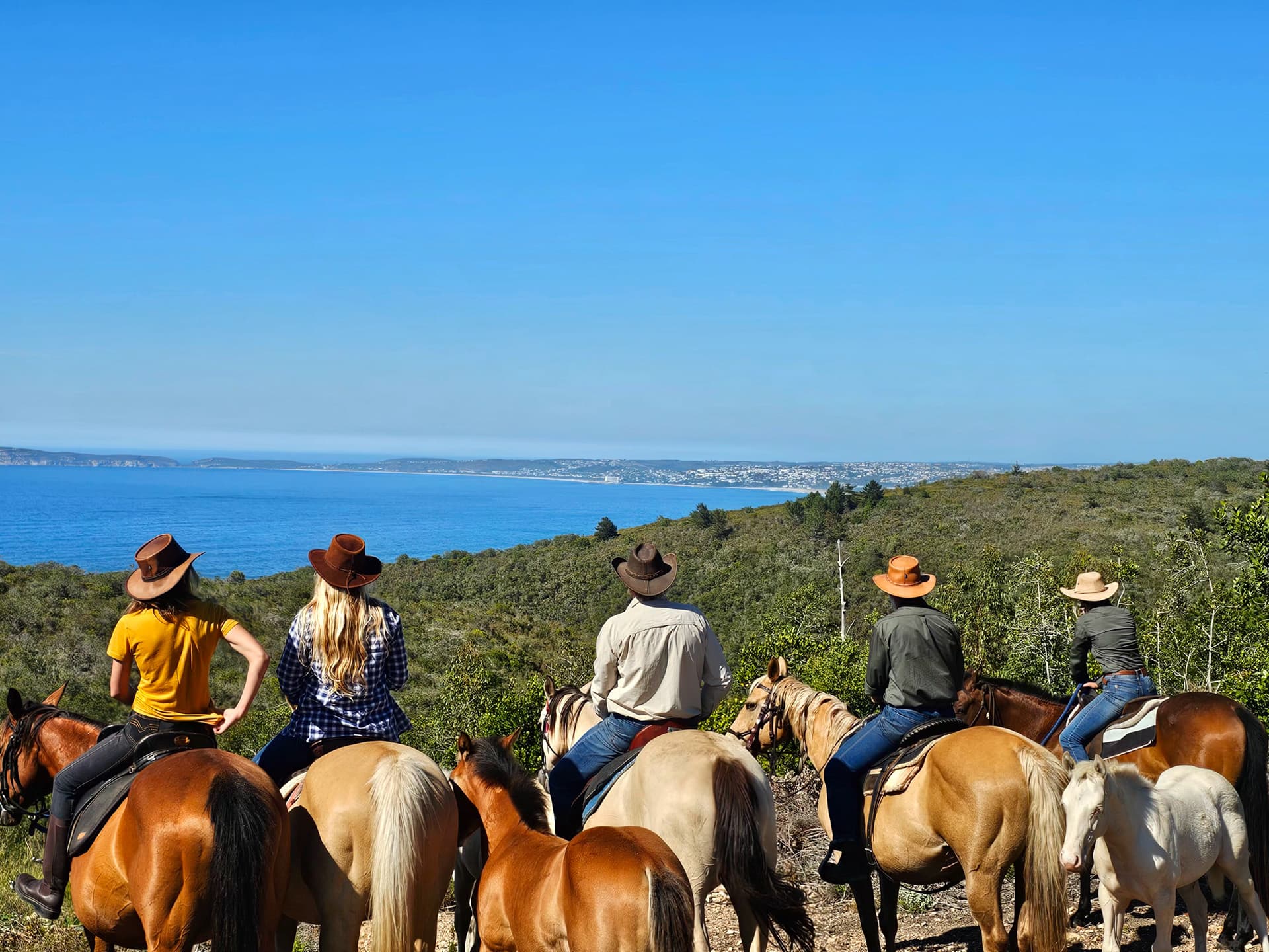 Maple Ranch Gallery - Image 2