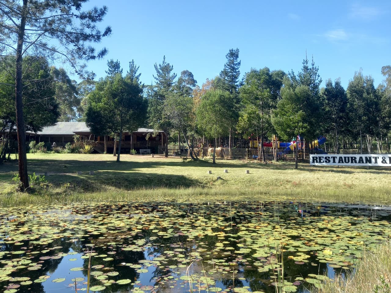 Maple Ranch Gallery - Image 4