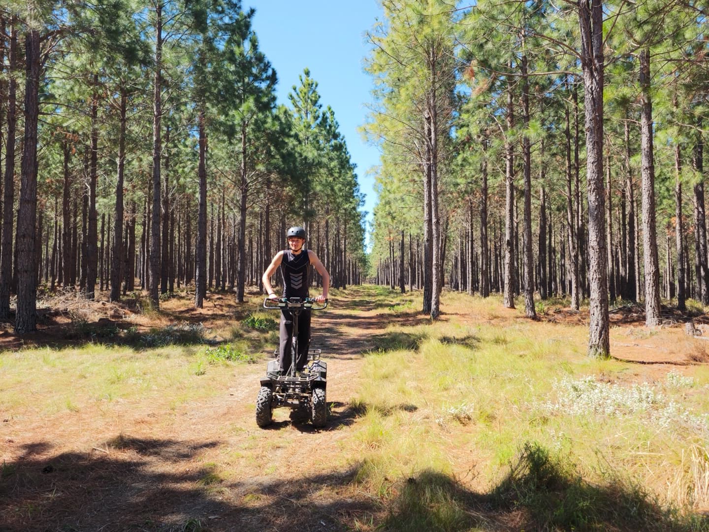 Maple Ranch Gallery - Image 9